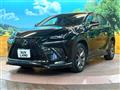2019 Lexus NX