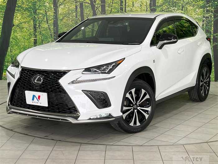 2018 Lexus NX