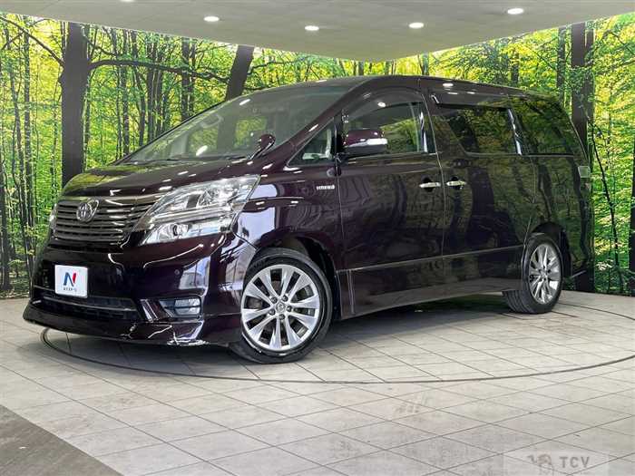 2010 Toyota Vellfire