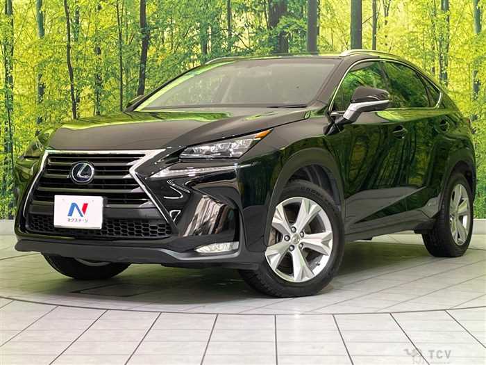 2014 Lexus NX