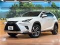 2019 Lexus NX