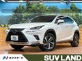 2019 Lexus NX