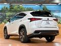 2019 Lexus NX