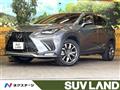 2020 Lexus NX