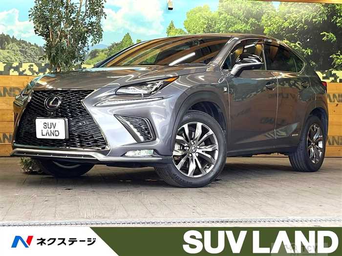 2020 Lexus NX