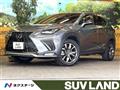 2020 Lexus NX