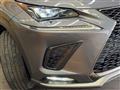 2020 Lexus NX