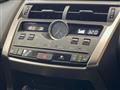 2020 Lexus NX
