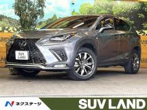 2020 Lexus NX