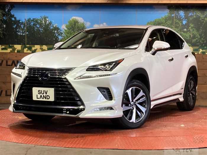 2020 Lexus NX