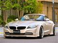 2010 BMW Z4