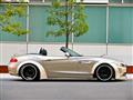 2010 BMW Z4