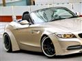 2010 BMW Z4