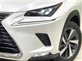 2018 Lexus NX