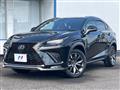 2020 Lexus NX