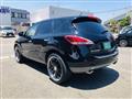 2011 Nissan Murano