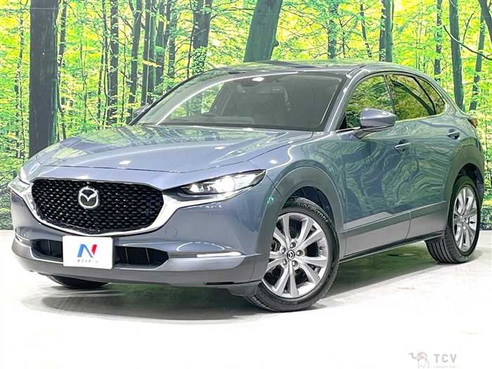 2020 Mazda Mazda Others