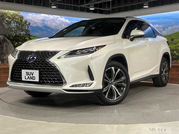 2022 Lexus RX