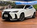 2020 Lexus Other