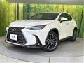 2024 Lexus NX