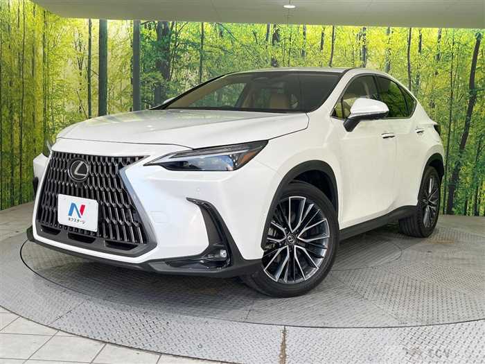 2024 Lexus NX