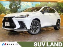2024 Lexus NX