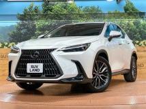 2023 Lexus NX