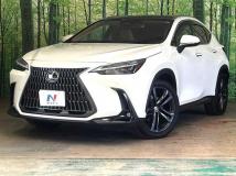 2023 Lexus NX