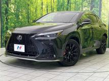 2023 Lexus NX