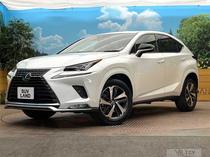 2021 Lexus NX