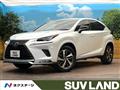 2021 Lexus NX