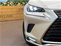 2021 Lexus NX
