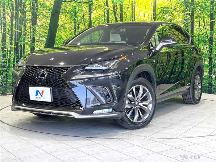 2018 Lexus NX