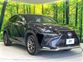 2018 Lexus NX