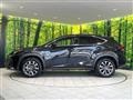 2018 Lexus NX