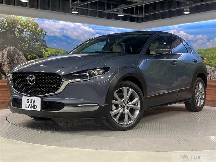2021 Mazda Mazda Others