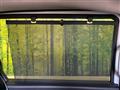2024 Honda Freed
