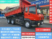 2010 Isuzu Isuzu Others
