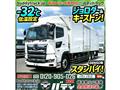 2017 Hino Hino Others
