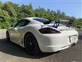2009 Porsche Cayman