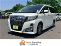2016 Toyota Alphard G