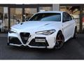 2019 Alfa Romeo Alfa Romeo Others