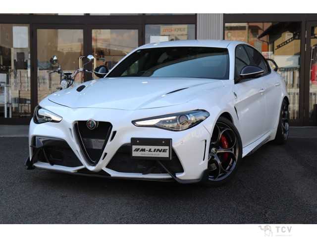 2019 Alfa Romeo Alfa Romeo Others