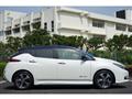 2018 Nissan Nissan Others