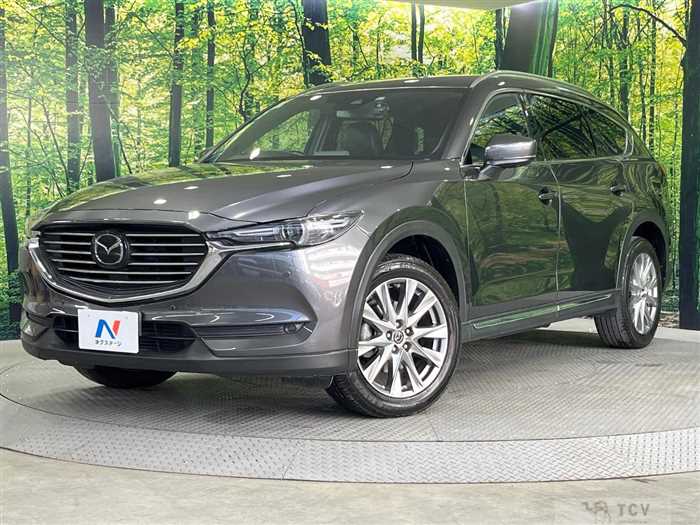 2018 Mazda CX-8