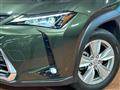 2020 Lexus Other