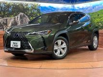 2020 Lexus Other