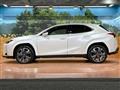 2023 Lexus Other