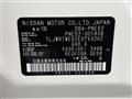 2010 Nissan Elgrand