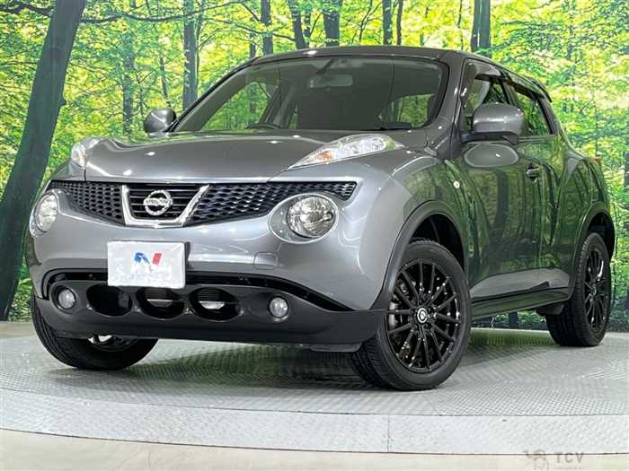 2012 Nissan Juke